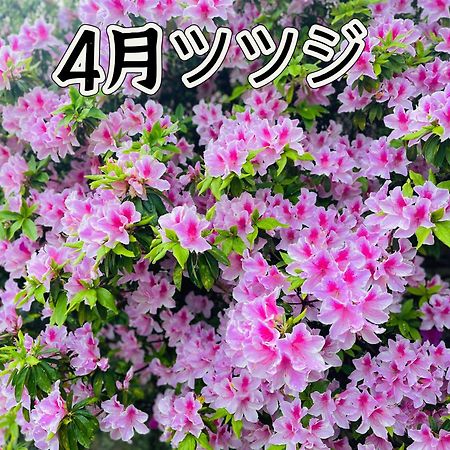 伊都山海渓 Itoshima Екстериор снимка