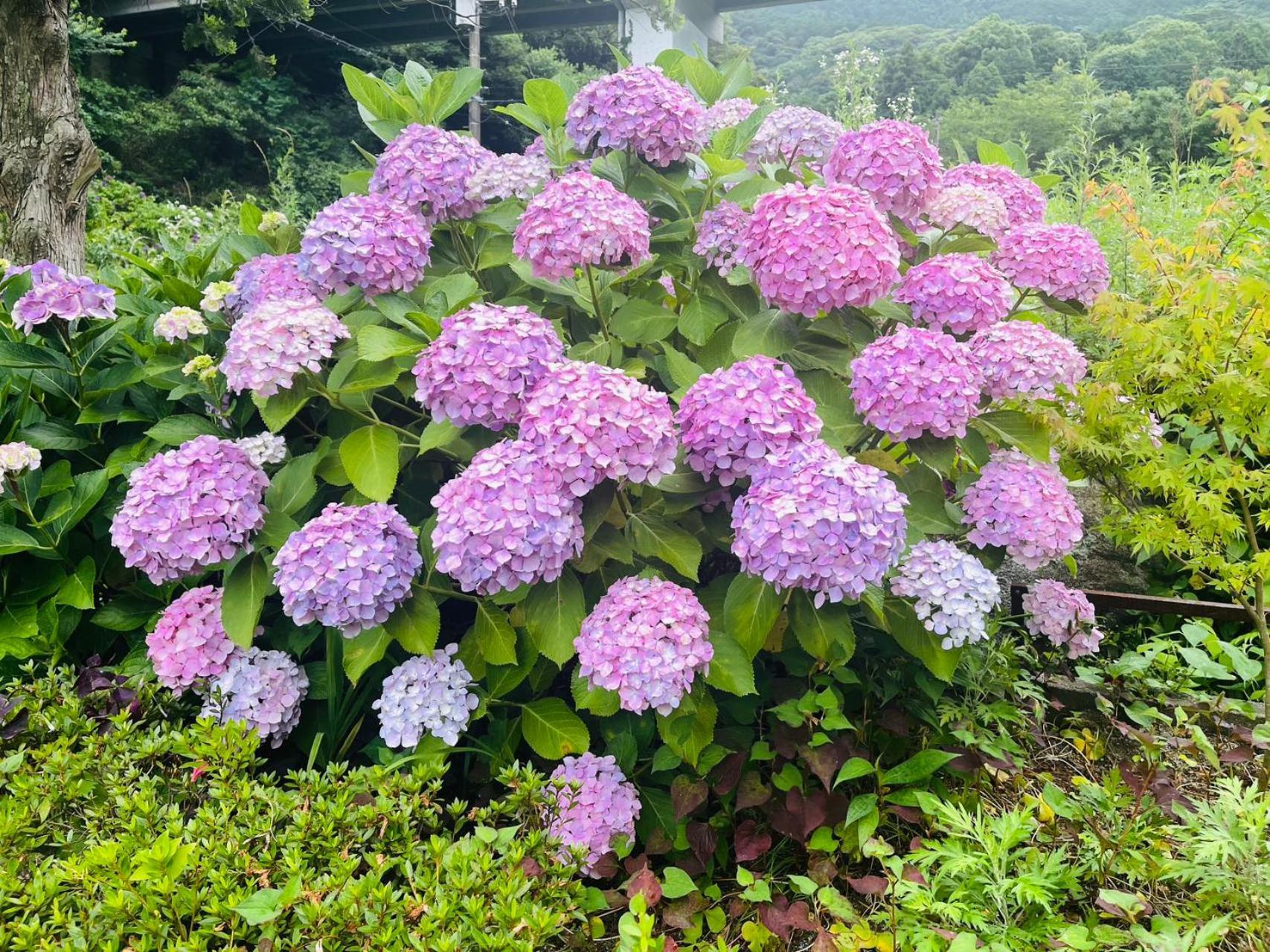 伊都山海渓 Itoshima Екстериор снимка