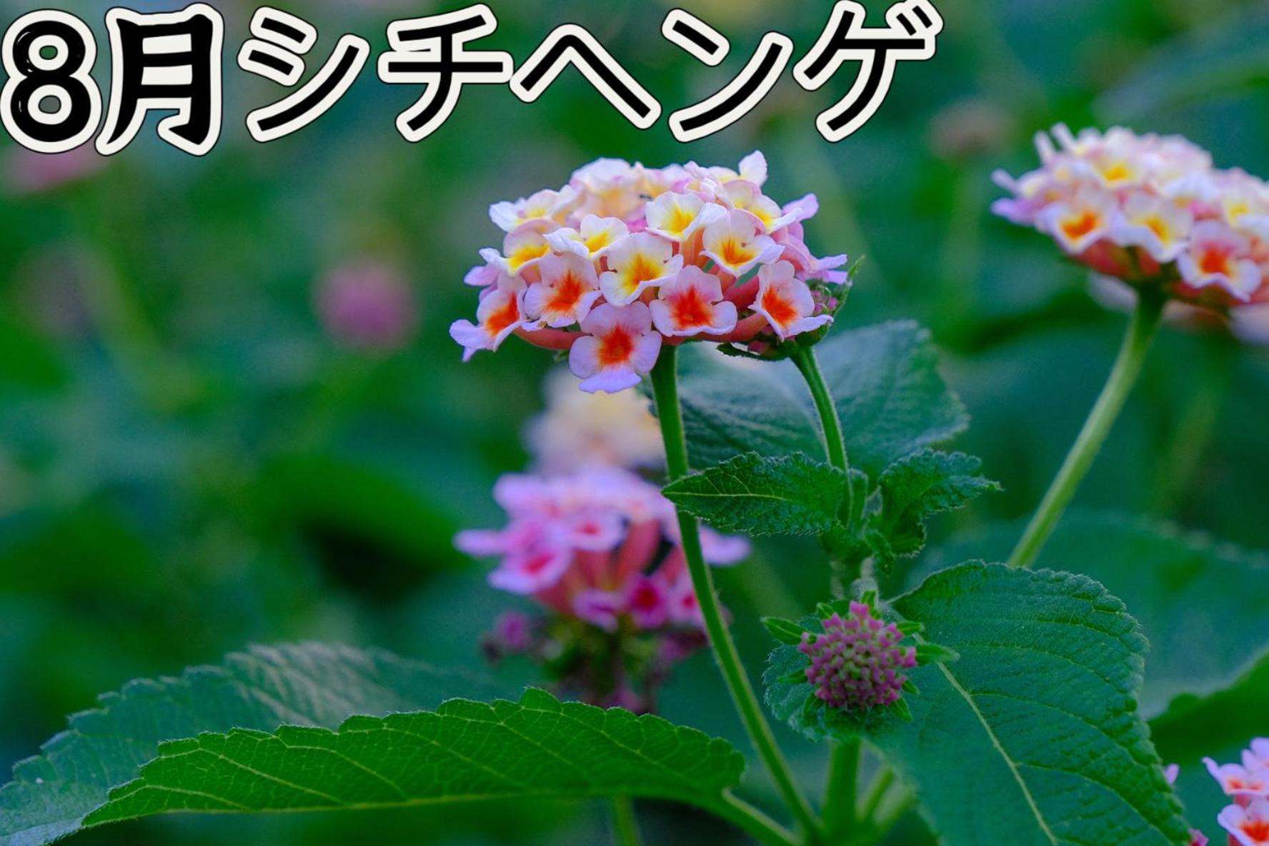 伊都山海渓 Itoshima Екстериор снимка
