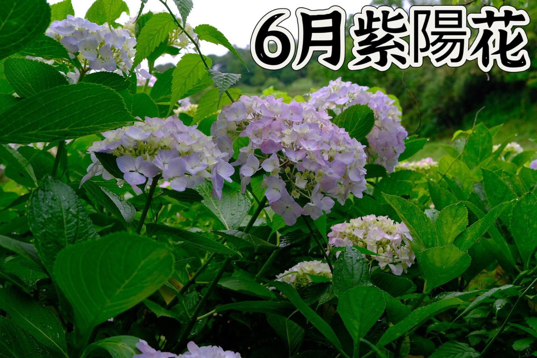 伊都山海渓 Itoshima Екстериор снимка