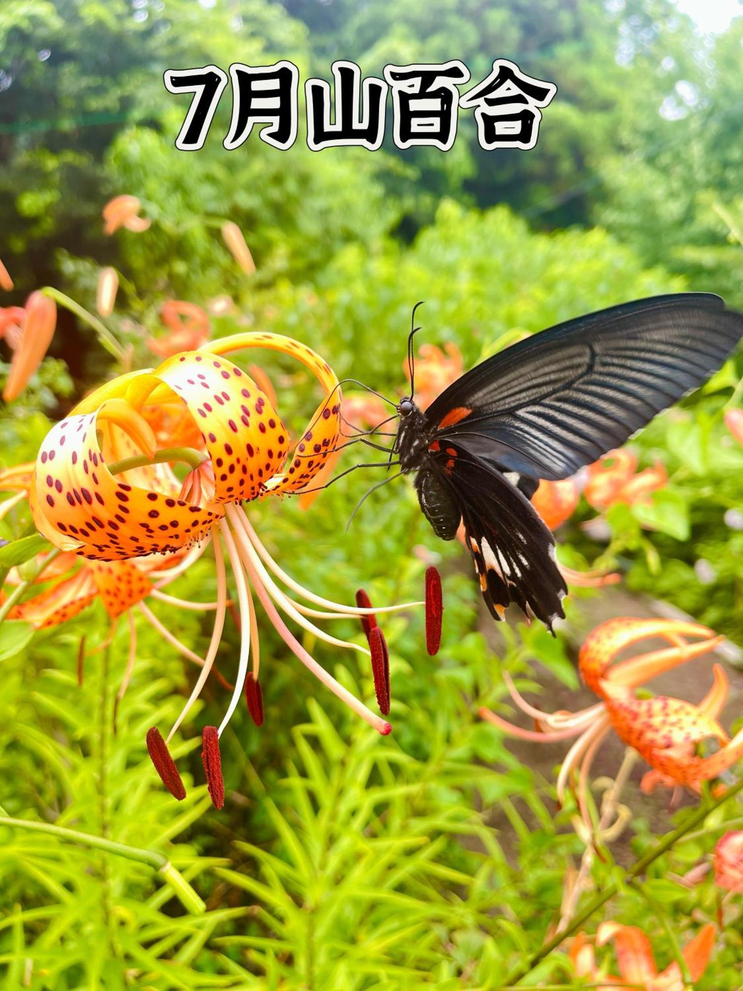 伊都山海渓 Itoshima Екстериор снимка