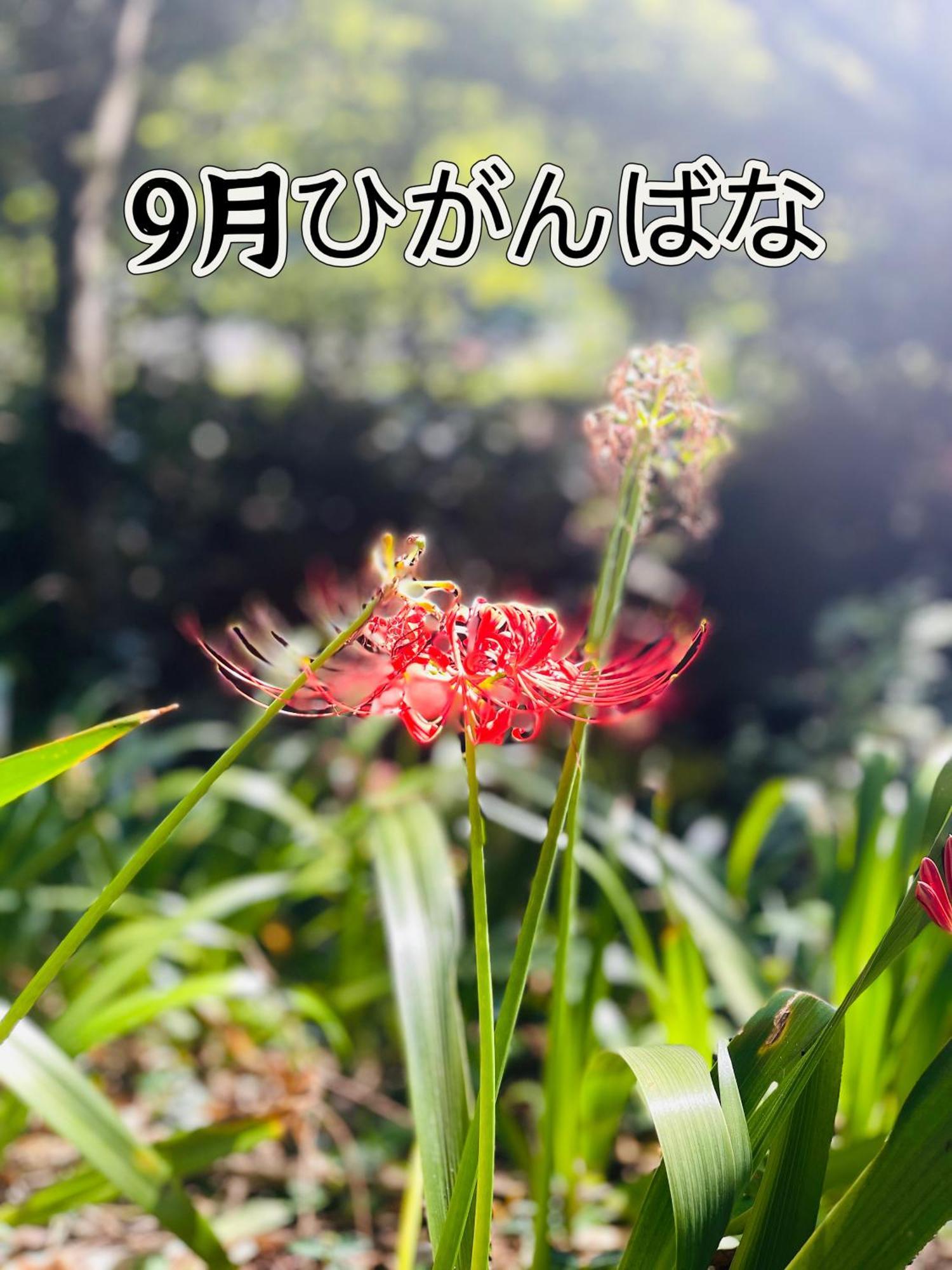 伊都山海渓 Itoshima Екстериор снимка