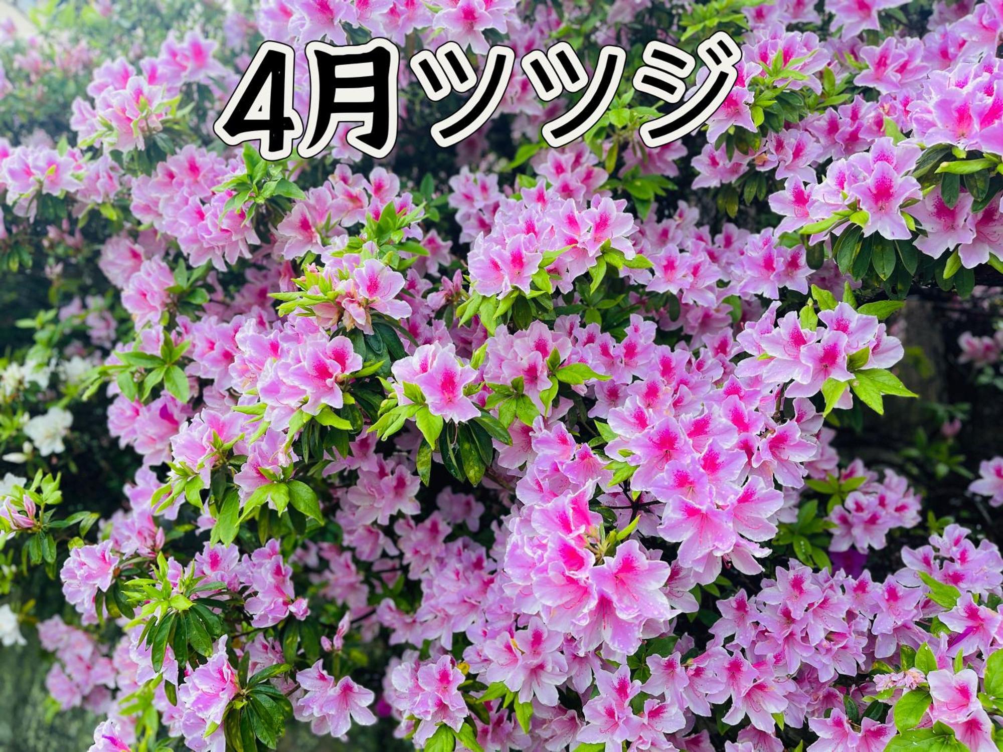 伊都山海渓 Itoshima Екстериор снимка